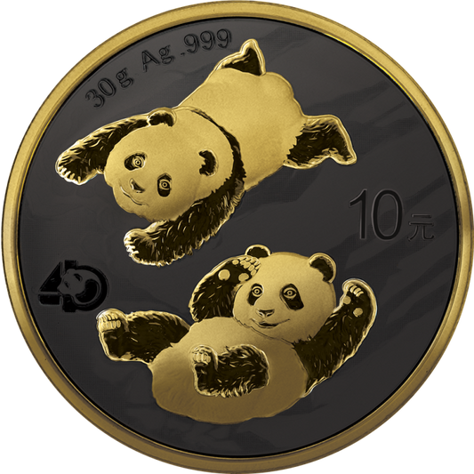 Chiny 10 juanów Panda 30 g Ag.999 2022 GN